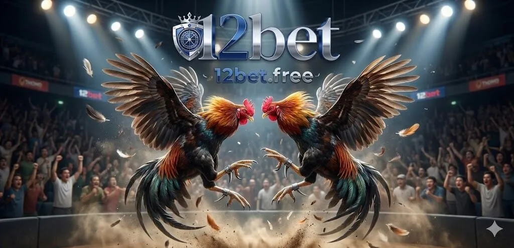 Tận hưởng không khí cuồng nhiệt tại những trường gà danh tiếng nhất